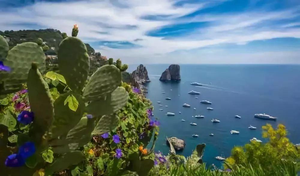 沪江开心词场